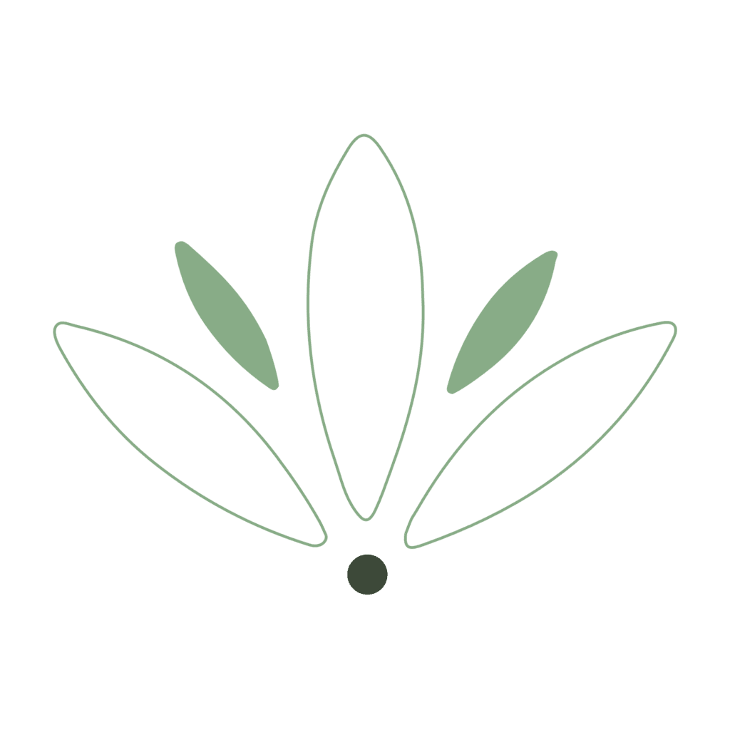 icone transparent