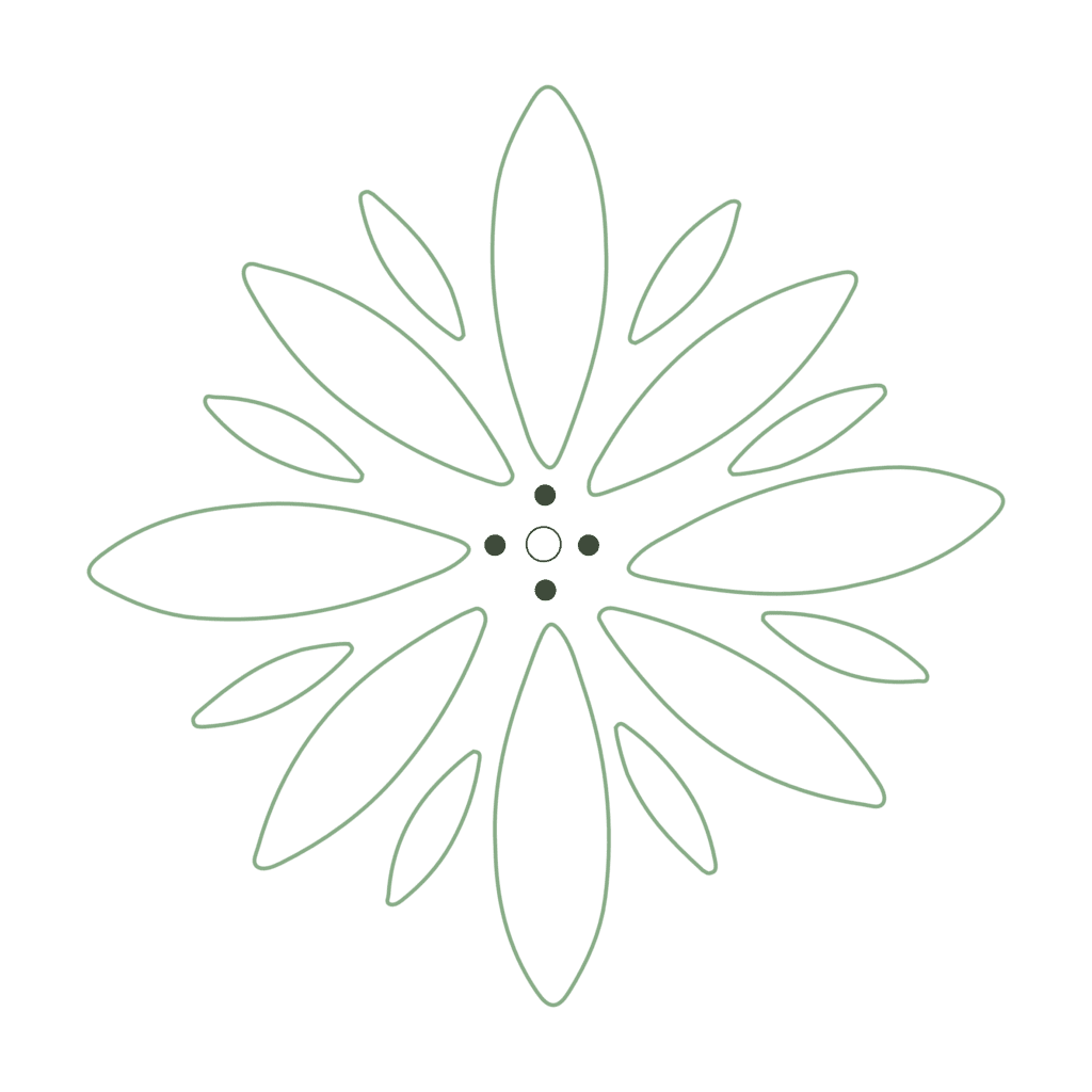 icone transparent 12