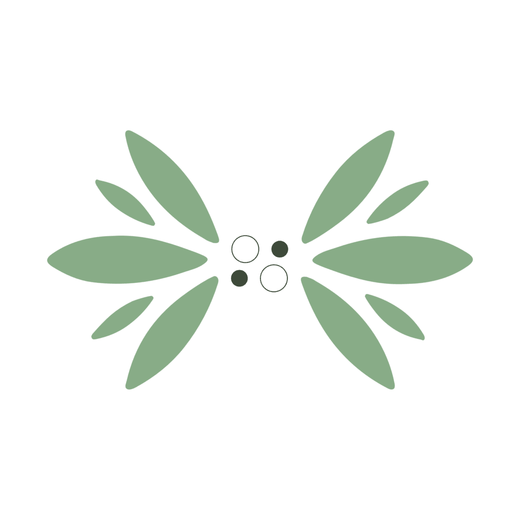 icone transparent 6