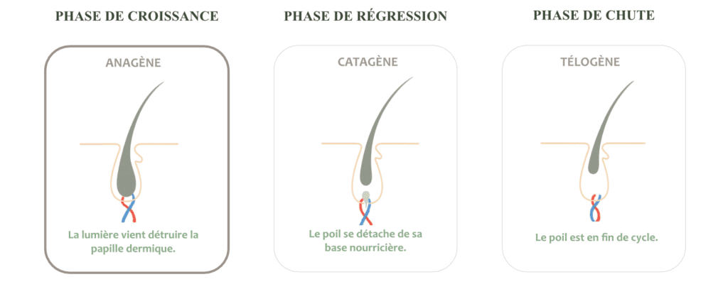 schema-cycle-du-poil-electrolyse