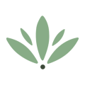 icone transparent 3
